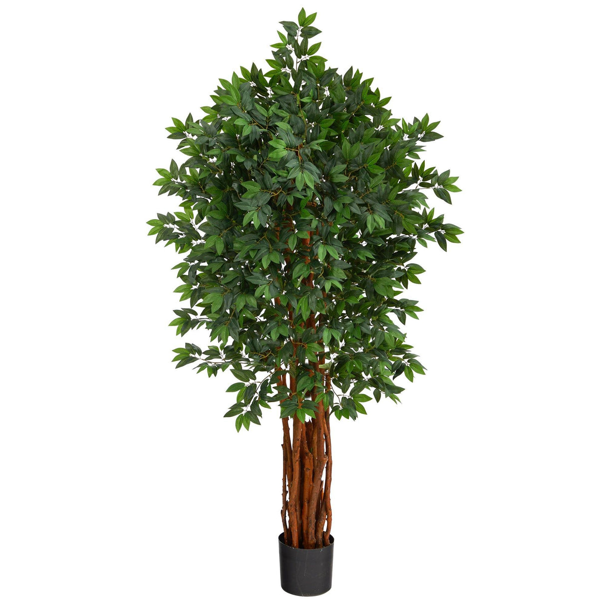 5.5’ Lychee Artificial Tree with Natural Trunk-Parc Decor