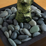 5.5’ Mango Artificial Tree in Black Wash Planter (Indoor/Outdoor)-Parc Decor