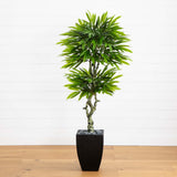 5.5’ Mango Artificial Tree in Black Wash Planter (Indoor/Outdoor)-Parc Decor