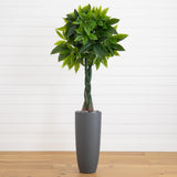 5.5’ Money Artificial Tree in Gray Cylinder Planter (Real Touch)-Parc Decor
