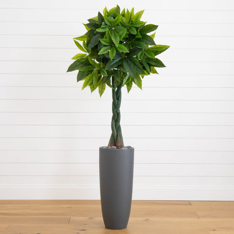 5.5’ Money Artificial Tree in Gray Cylinder Planter (Real Touch)-Parc Decor