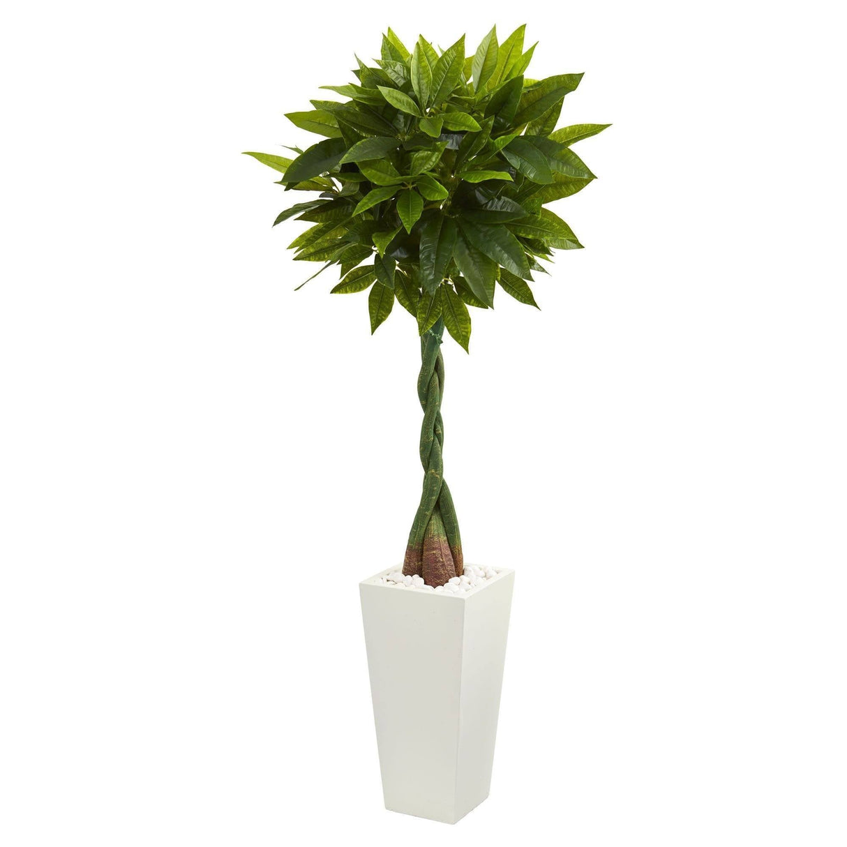 5.5’ Money Artificial Tree in White Tower Planter (Real Touch)-Parc Decor