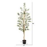 5.5’ Olive Artificial Tree-Parc Decor