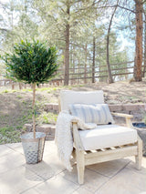 5.5’ Olive Topiary Artificial Tree UV Resistant (Indoor/Outdoor)-Parc Decor