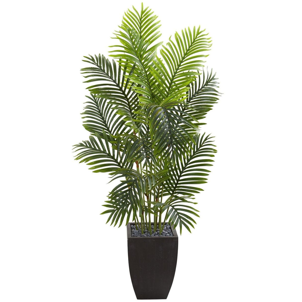 5.5’ Paradise Palm Artificial Tree in Square Planter-Parc Decor