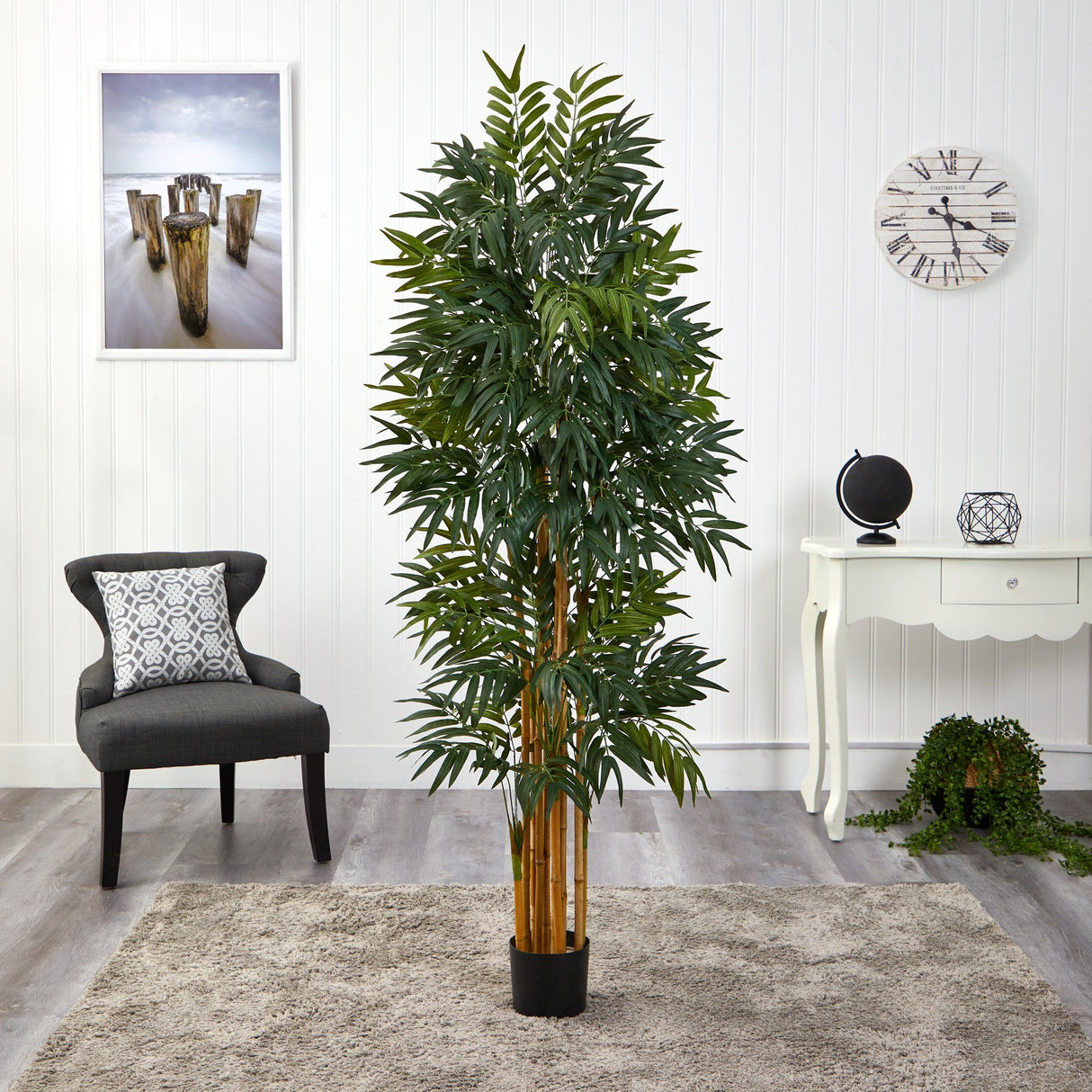 5.5’ Phoenix Artificial Palm tree with Natural Trunk-Parc Decor