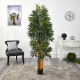5.5’ Phoenix Artificial Palm tree with Natural Trunk-Parc Decor