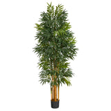 5.5’ Phoenix Artificial Palm tree with Natural Trunk-Parc Decor