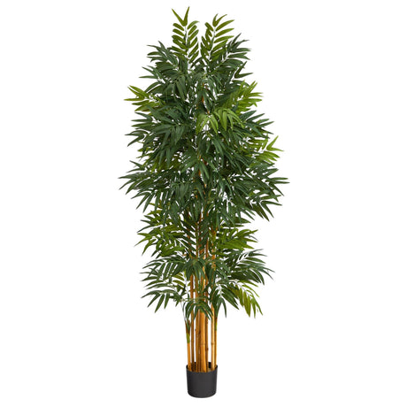 5.5’ Phoenix Artificial Palm tree with Natural Trunk-Parc Decor