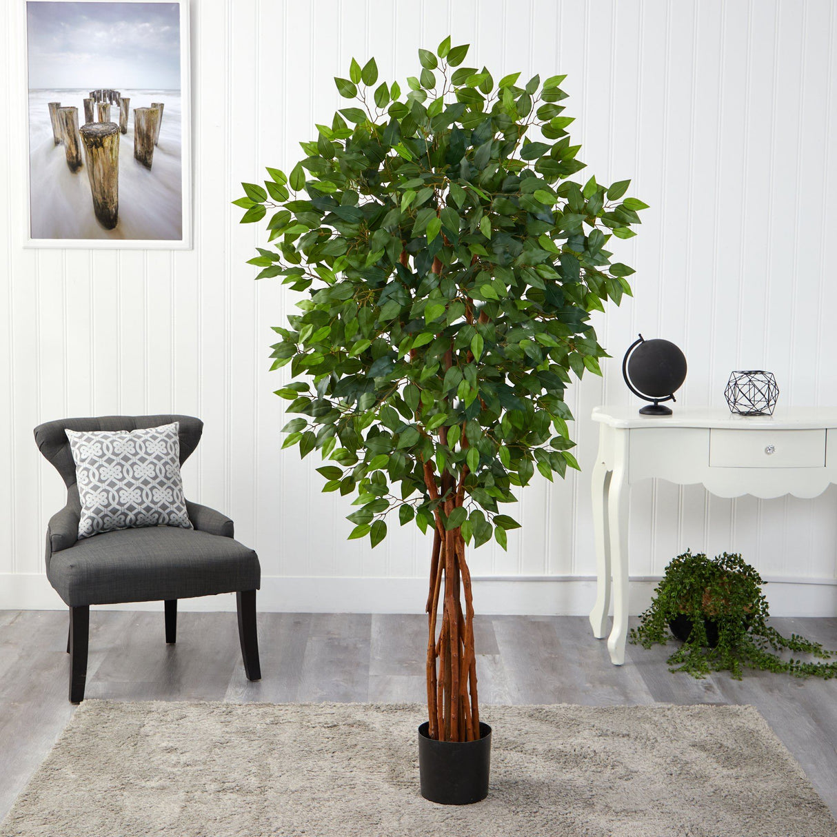 5.5’ Super Deluxe Natural Trunk Ficus Artificial Tree-Parc Decor