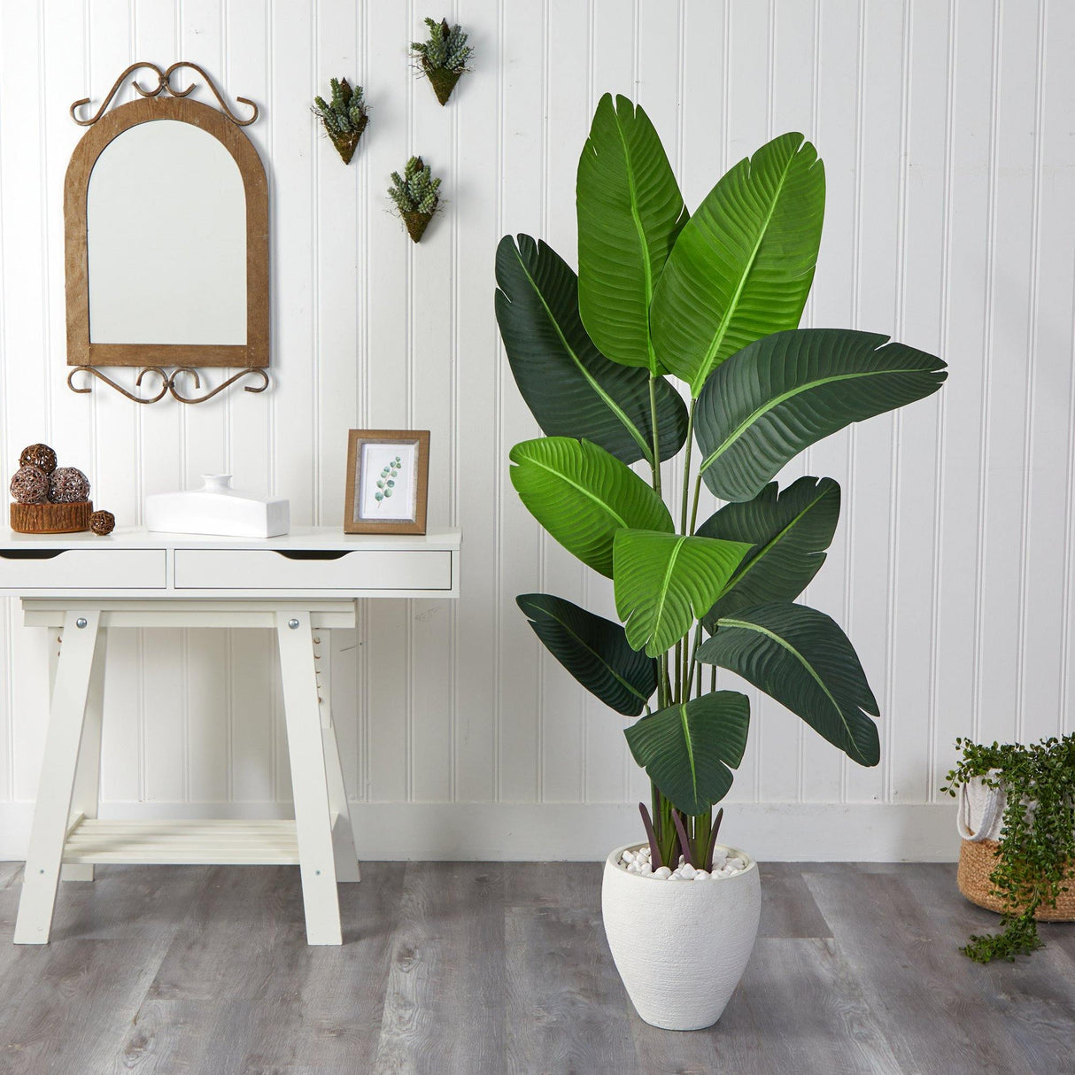 5.5’ Travelers Palm Artificial Tree in White Planter-Parc Decor