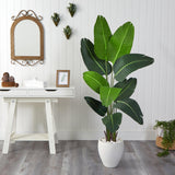 5.5’ Travelers Palm Artificial Tree in White Planter-Parc Decor