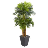 5.5’ Triple Areca Palm Artificial Tree in Slate Finish Planter-Parc Decor