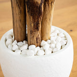 5.5’ Triple Areca Palm Artificial Tree in White Planter-Parc Decor