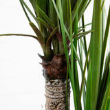 5.5’ Yucca Artificial Tree in White Planter-Parc Decor
