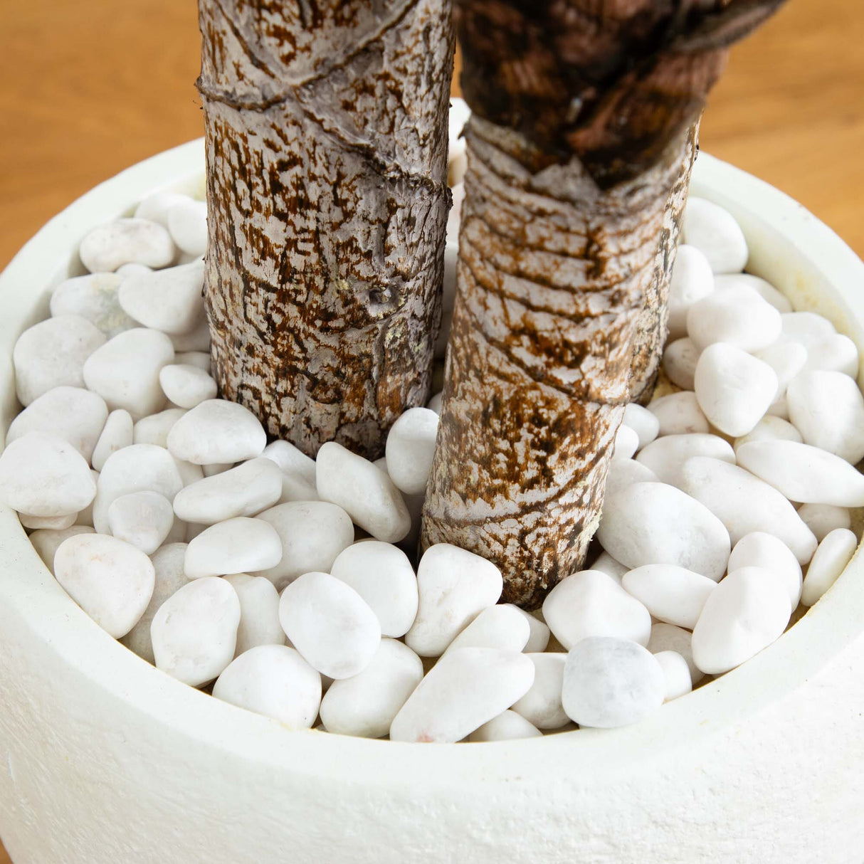 5.5’ Yucca Artificial Tree in White Planter-Parc Decor