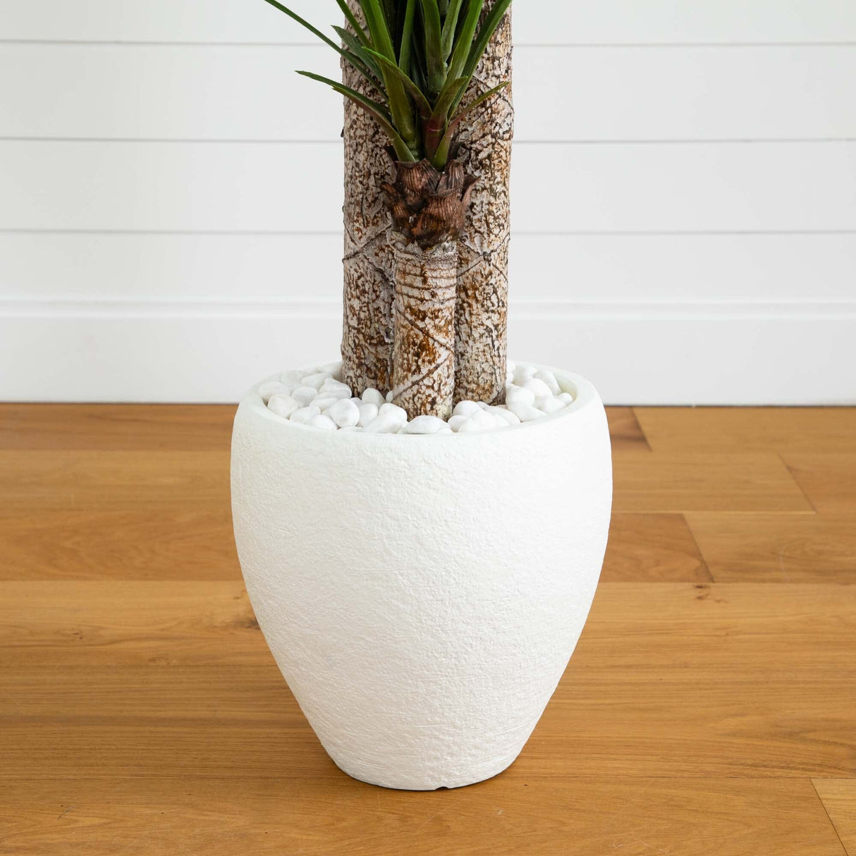 5.5’ Yucca Artificial Tree in White Planter-Parc Decor