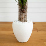 5.5’ Yucca Artificial Tree in White Planter-Parc Decor