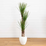 5.5’ Yucca Artificial Tree in White Planter-Parc Decor