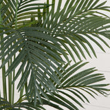 5.5’ Paradise Artificial Palm Tree in Black Planter-Tree-Parc Decor