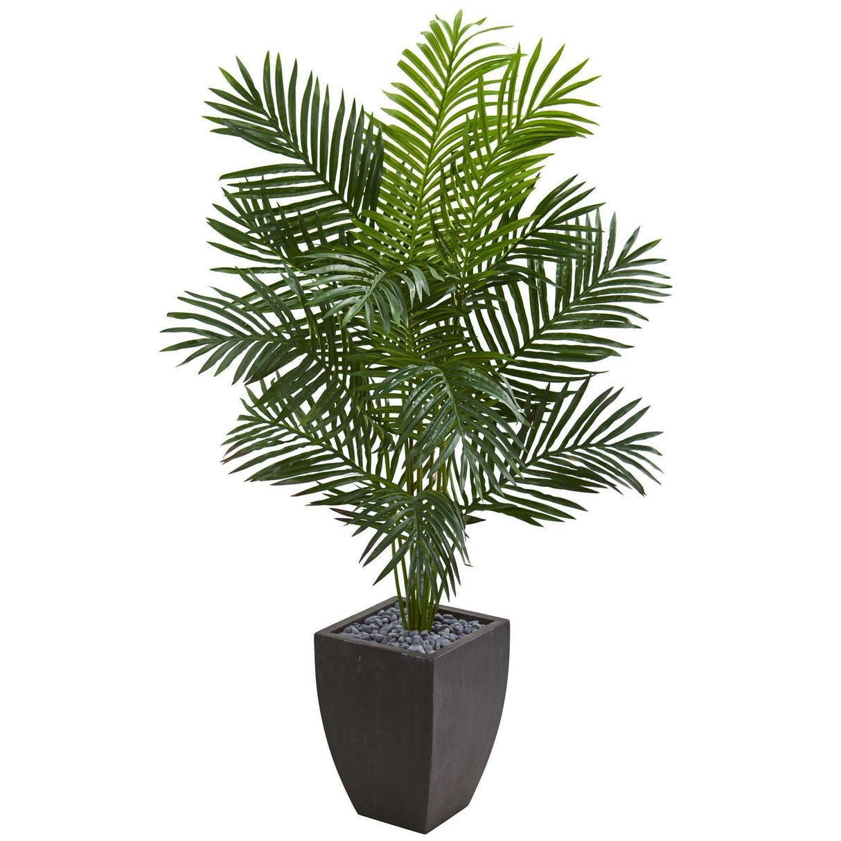 5.5’ Paradise Artificial Palm Tree in Black Planter-Tree-Parc Decor