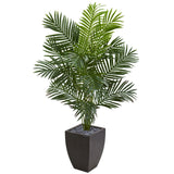 5.5’ Paradise Artificial Palm Tree in Black Planter-Tree-Parc Decor
