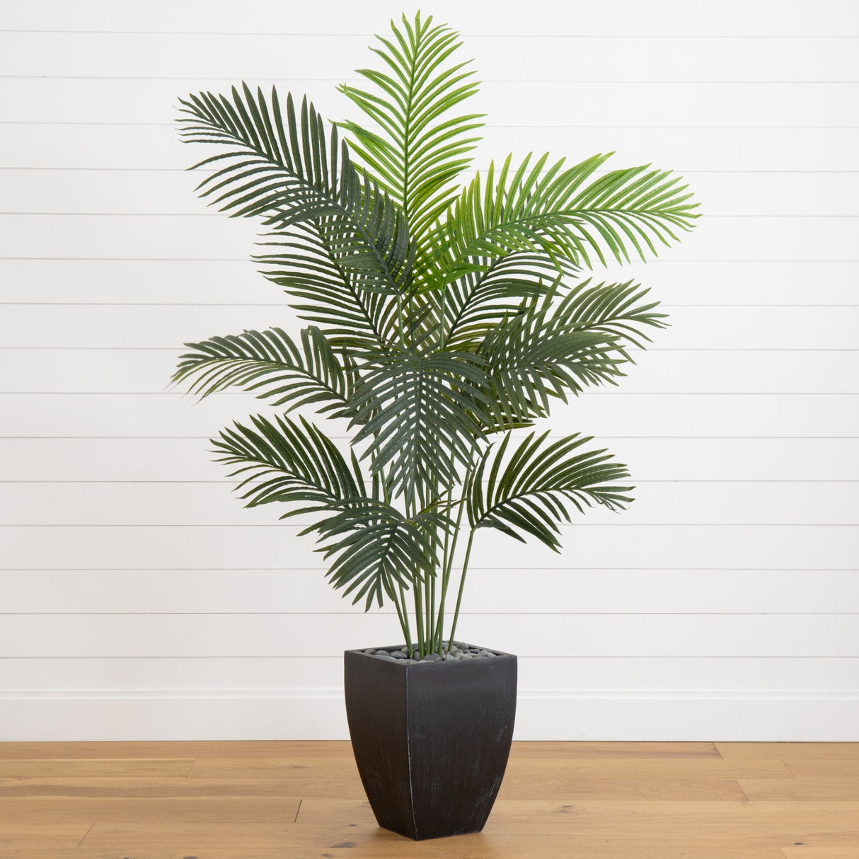 5.5’ Paradise Artificial Palm Tree in Black Planter-Tree-Parc Decor