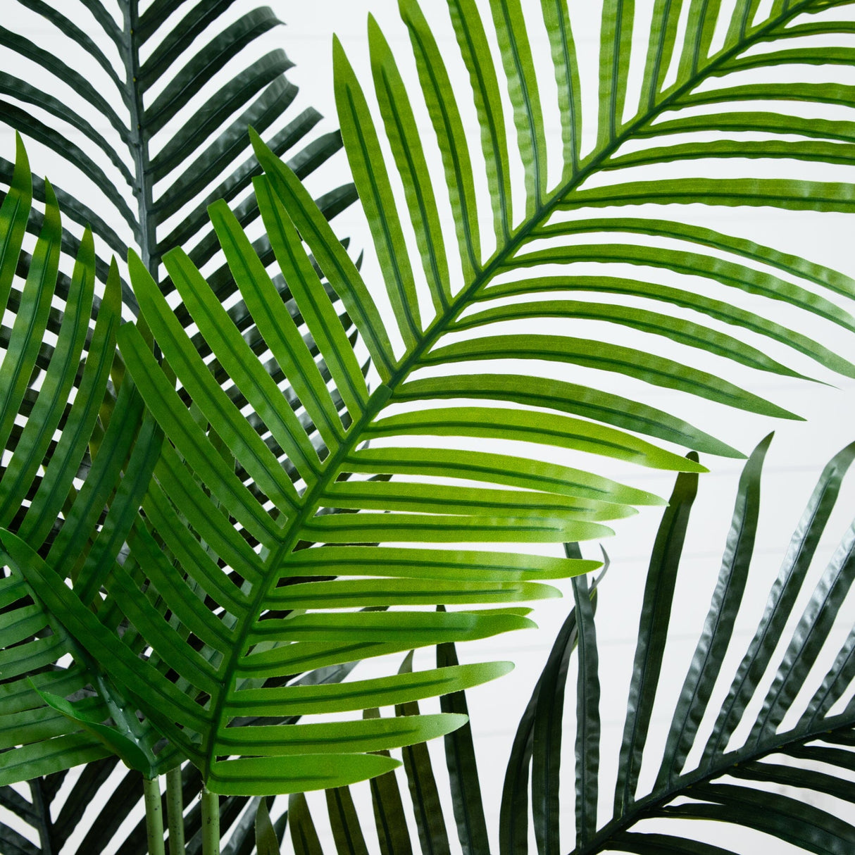 5.5’ Paradise Artificial Palm Tree in Sand Colored Planter-Tree-Parc Decor