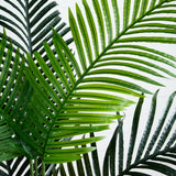 5.5’ Paradise Artificial Palm Tree in Sand Colored Planter-Tree-Parc Decor