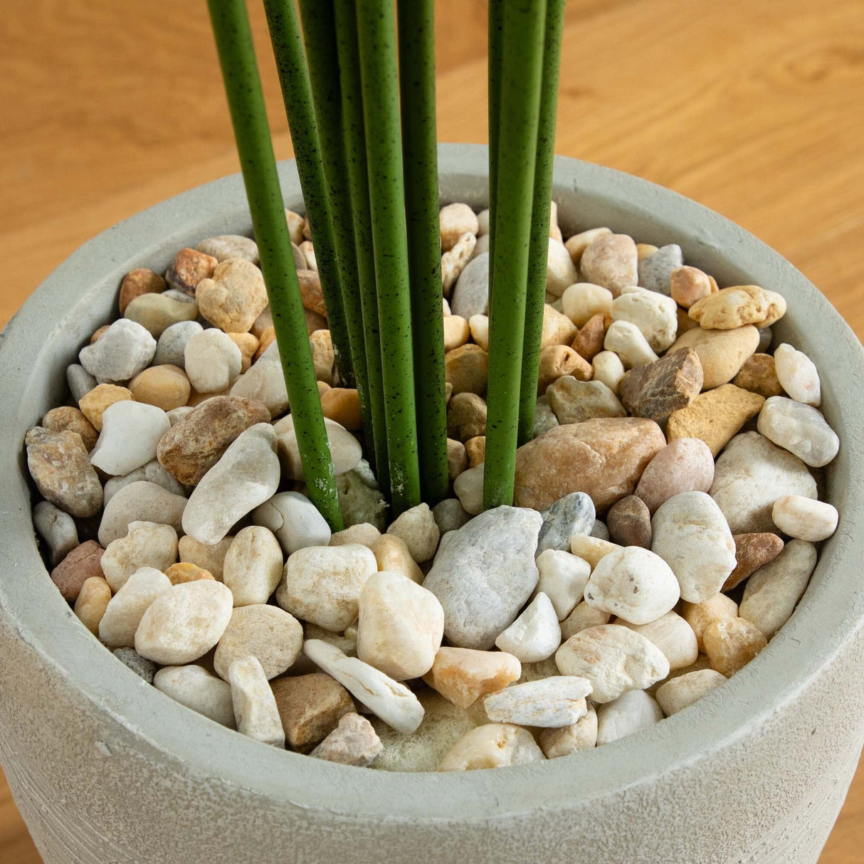 5.5’ Paradise Artificial Palm Tree in Sand Colored Planter-Tree-Parc Decor