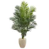 5.5’ Paradise Artificial Palm Tree in Sand Colored Planter-Tree-Parc Decor