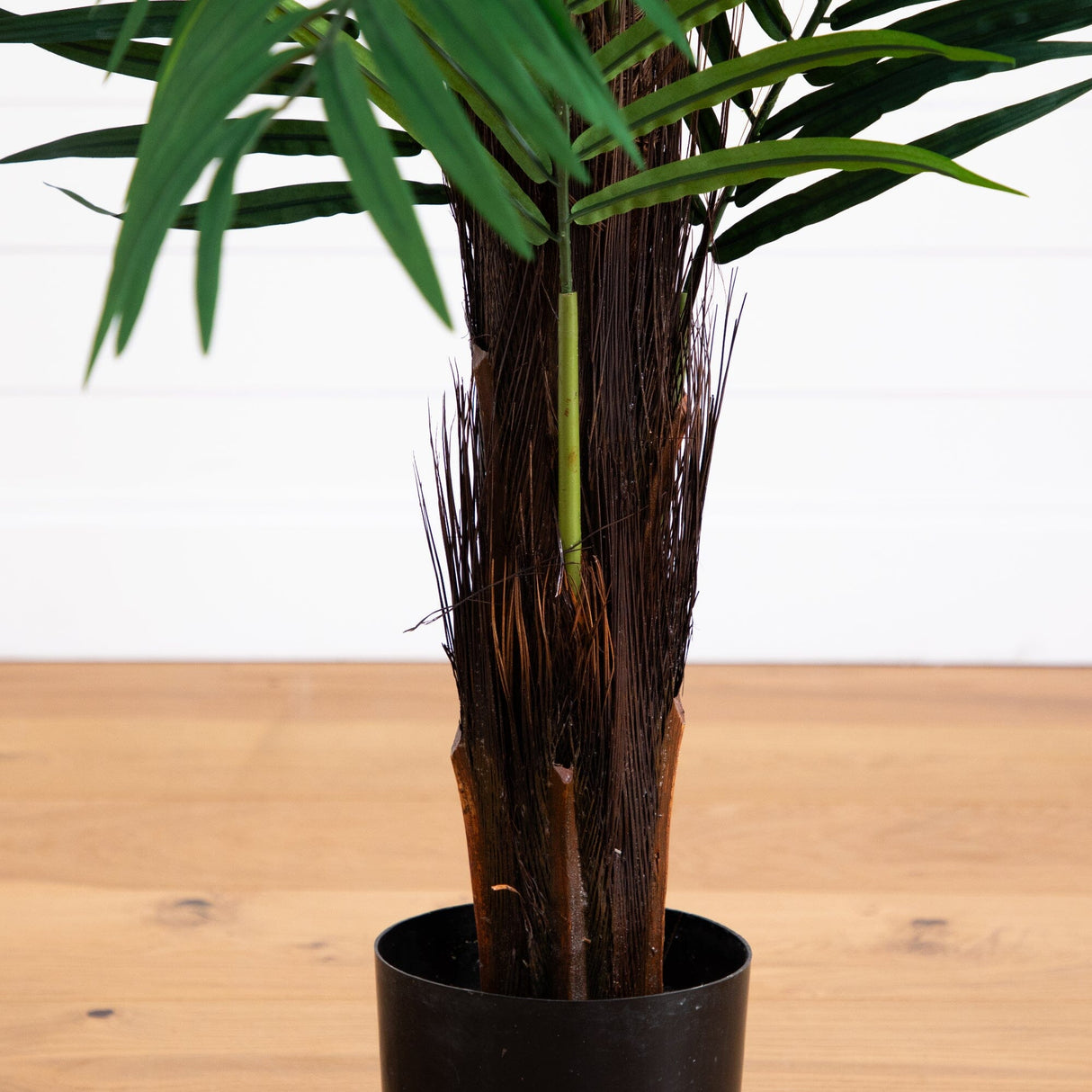 6’ Areca Palm Tree-Parc Decor