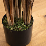 6’ Areca Palm Tree-Parc Decor