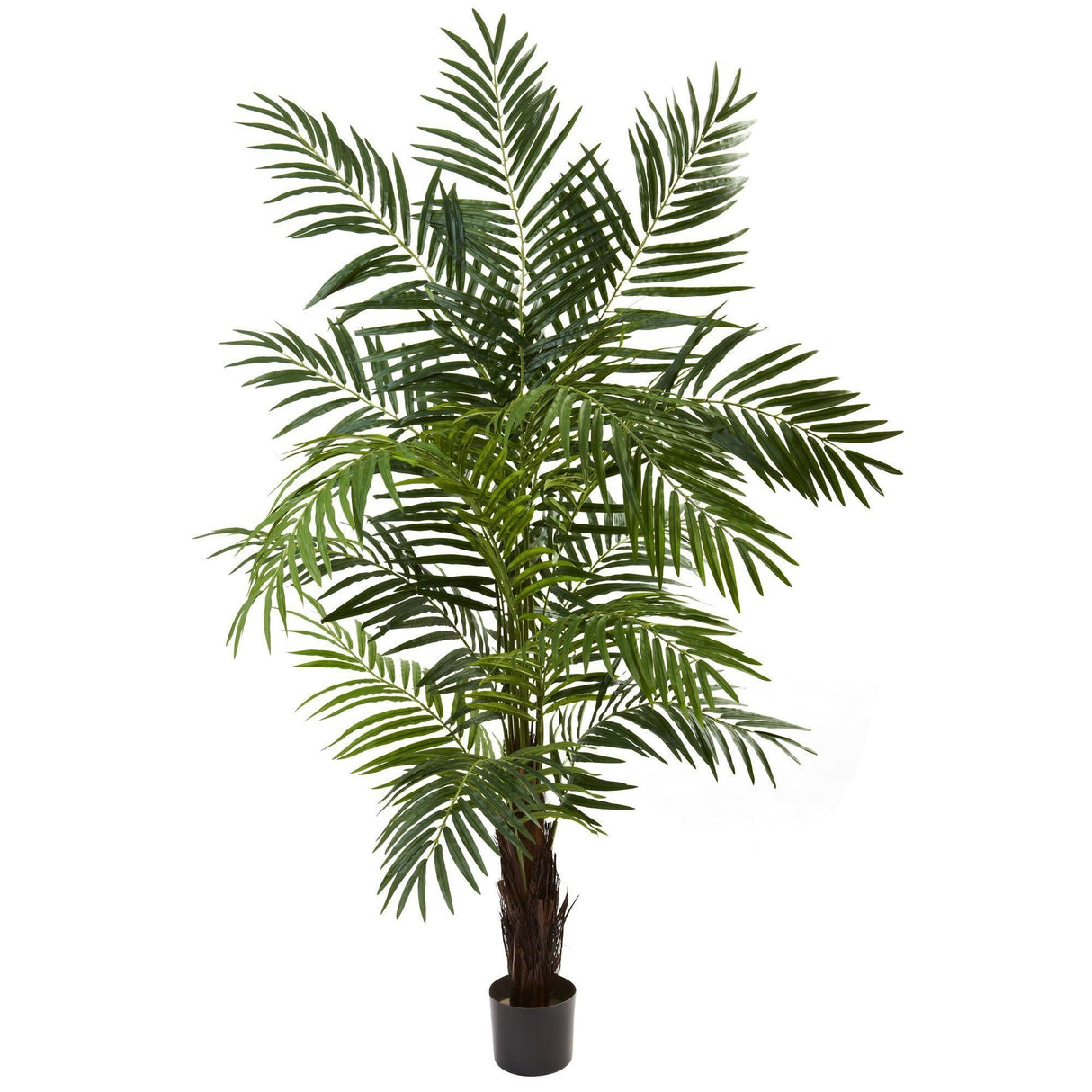6’ Areca Palm Tree-Parc Decor