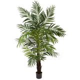 6’ Areca Palm Tree-Parc Decor