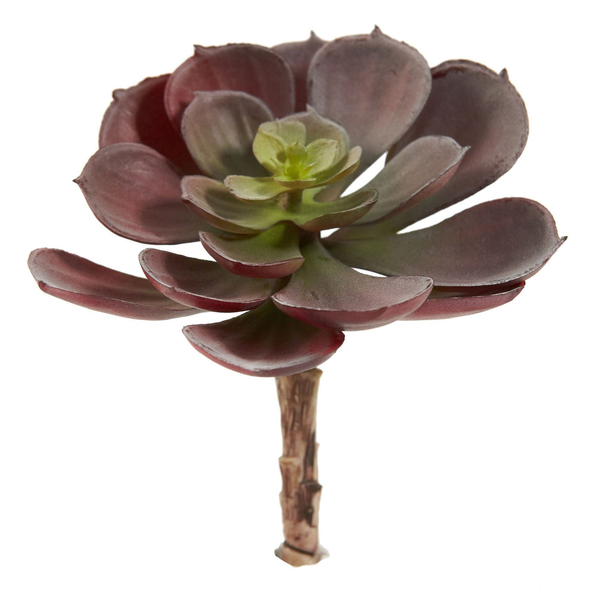 6” Artificial Echeveria Succulent (Set of 12)-Parc Decor
