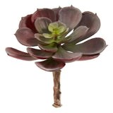 6” Artificial Echeveria Succulent (Set of 12)-Parc Decor