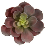 6” Artificial Echeveria Succulent (Set of 12)-Parc Decor
