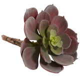6” Artificial Echeveria Succulent (Set of 12)-Parc Decor