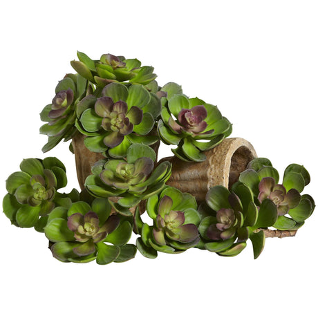 6” Artificial Echeveria Succulent (Set of 12)-Parc Decor
