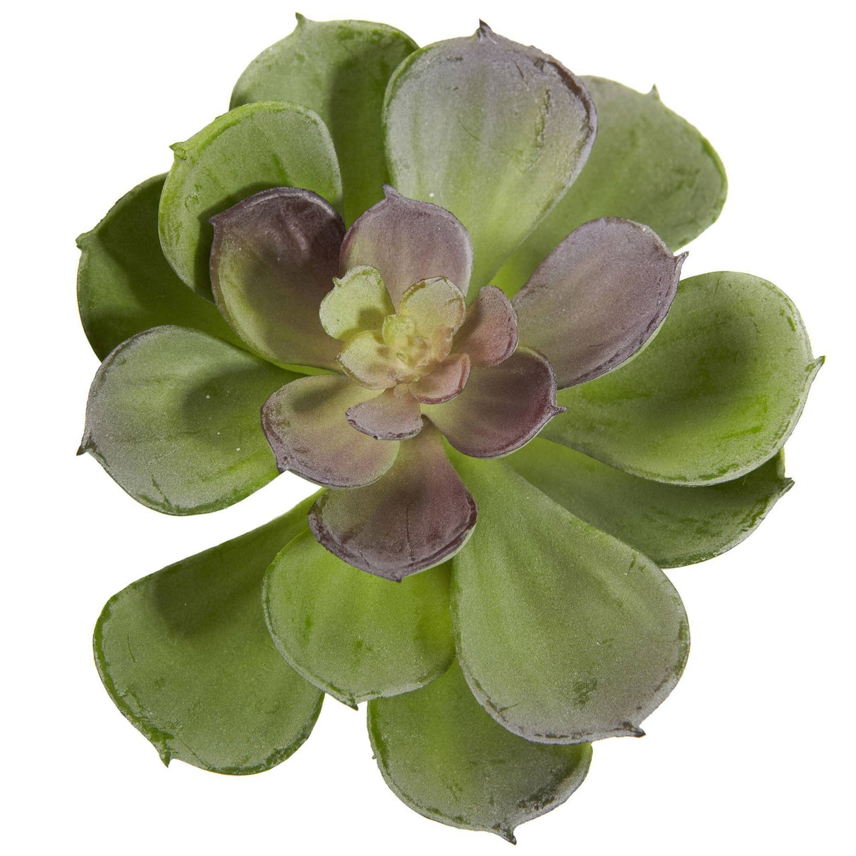 6” Artificial Echeveria Succulent (Set of 12)-Parc Decor