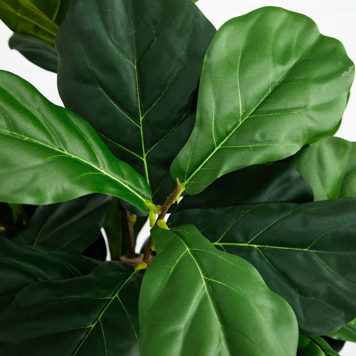 6’ Artificial Fiddle Leaf Fig Tree-Parc Decor