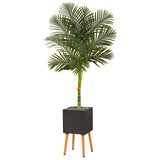 6’ Artificial Golden Cane Palm Tree in Black Planter with Stand-Parc Decor