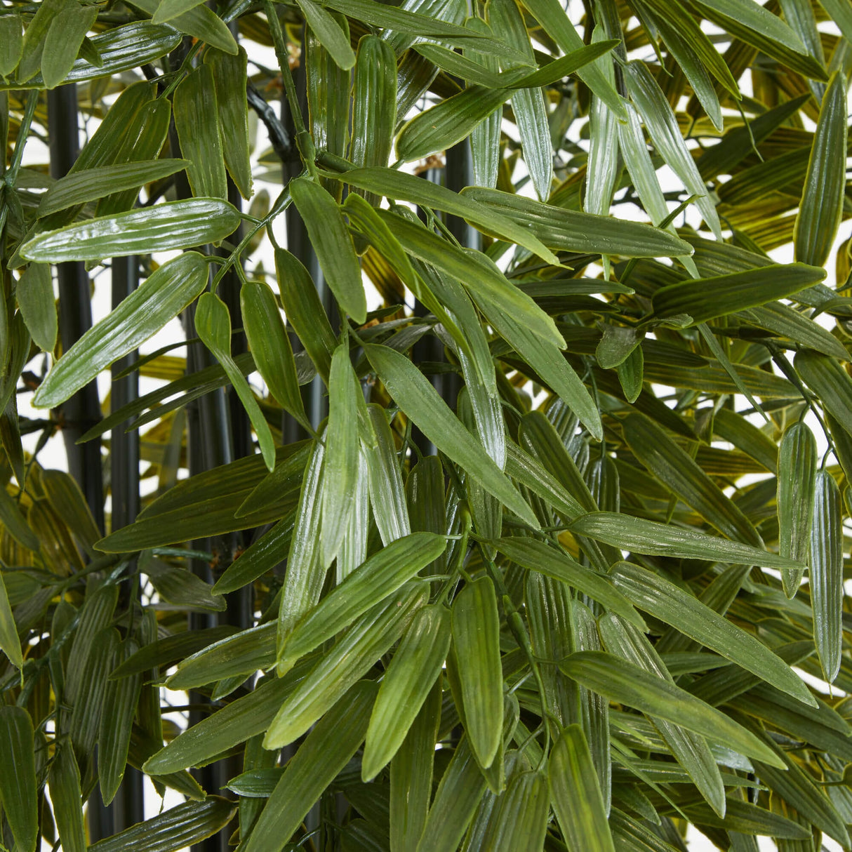 6’ Bamboo Artificial Tree with Black Trunks in Planter (Indoor/Outdoor)-Parc Decor