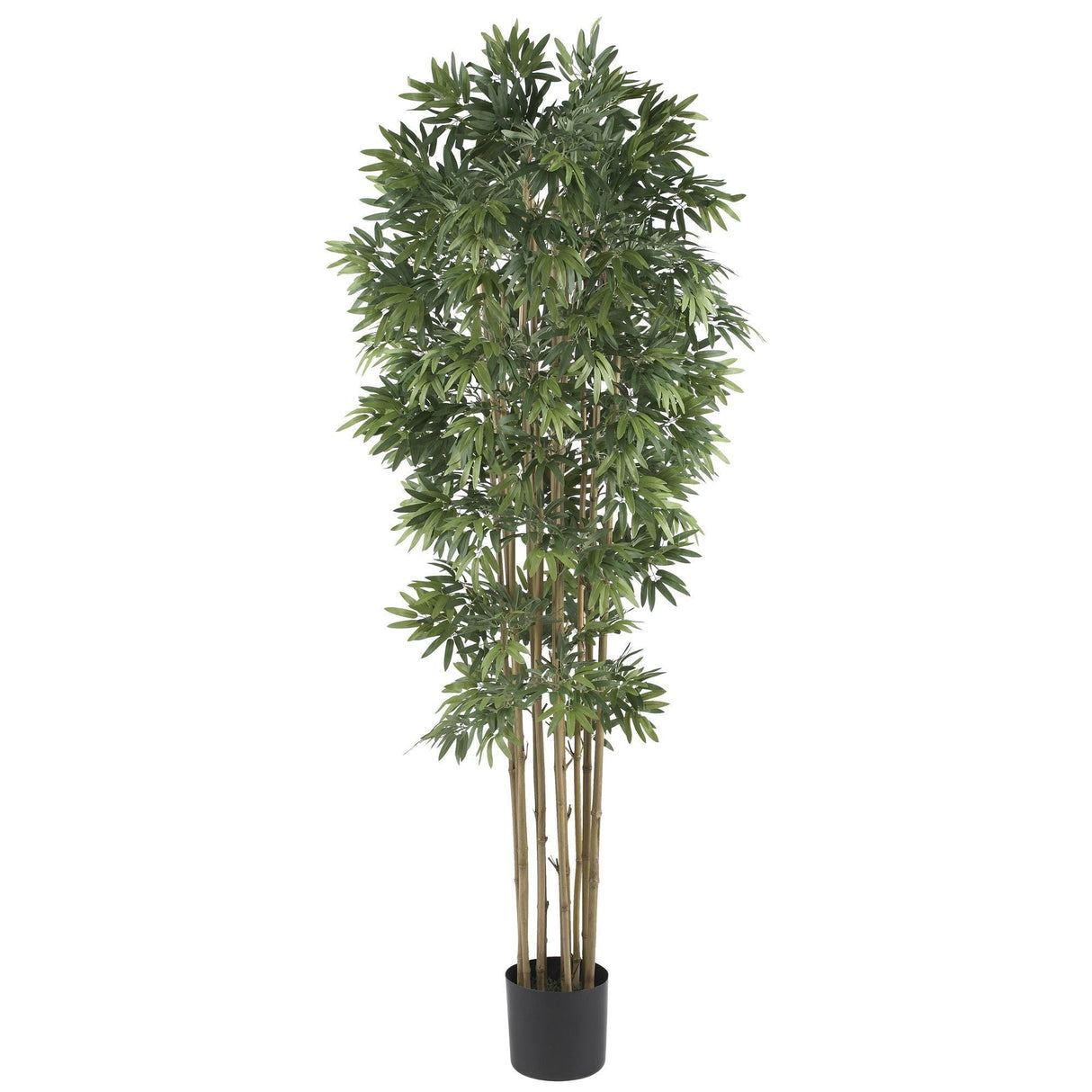 6' Bamboo Japanica Silk Tree-Parc Decor