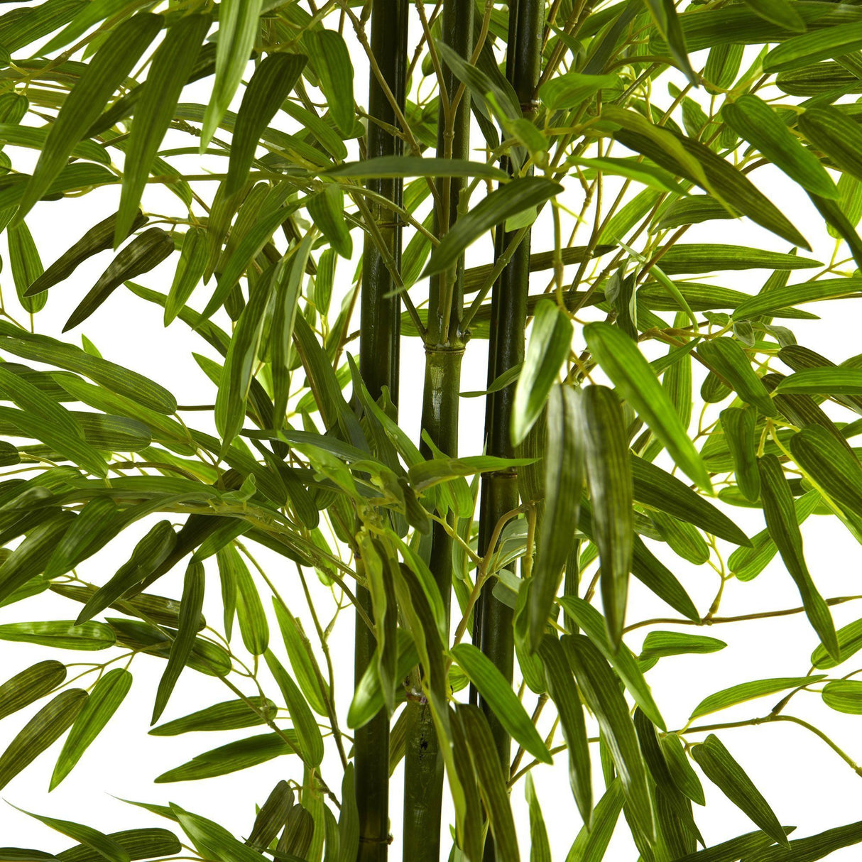 6' Bamboo Tree UV Resistant (Indoor/Outdoor)-Parc Decor