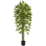 6' Bamboo Tree UV Resistant (Indoor/Outdoor)-Parc Decor
