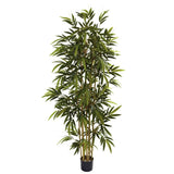 6' Bamboo Tree-Parc Decor