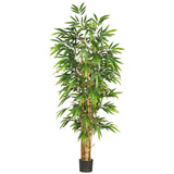 6' Belly Bamboo Silk Tree-Parc Decor