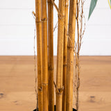 6' Biggy Style Bamboo Silk Tree-Parc Decor